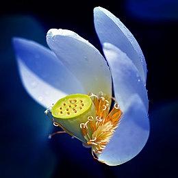 《剑星》登顶Steam畅销榜 在线破7万且持续走高！